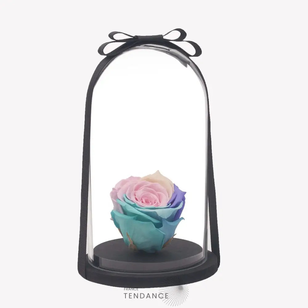 Rose éternelle Bleue Et Pourpre Sous Cloche |