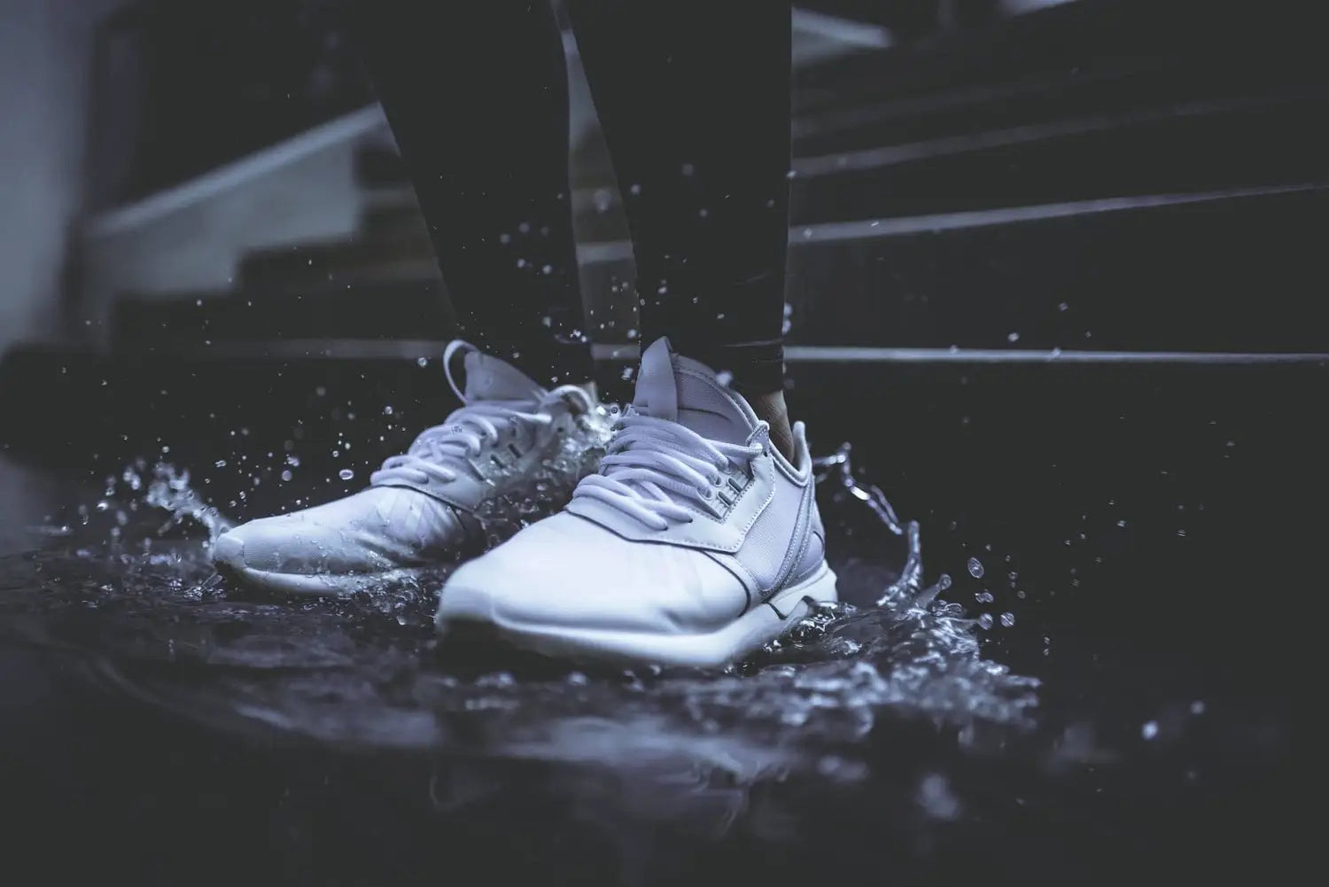 Baskets & Sneakers - CLUB VIP France