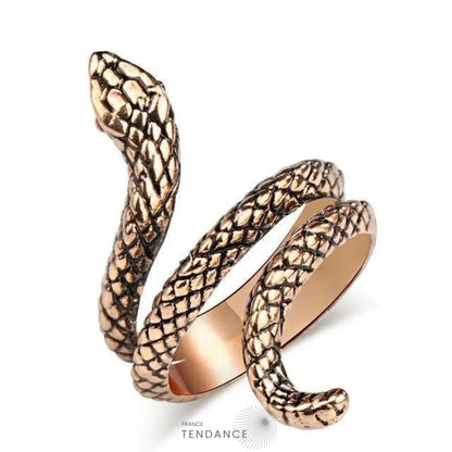 Bague Dark Snake | France-Tendance