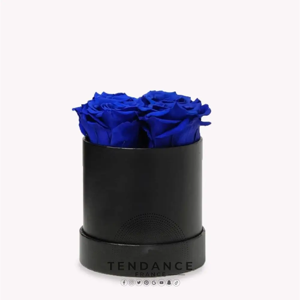 Bouquet 4 Roses éternelles Bleues | France-Tendance