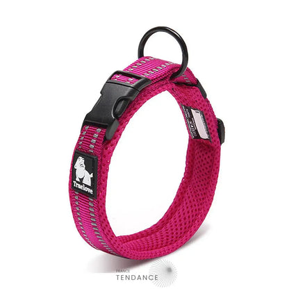 Collier Lumineux Réfléchissant Pour Chien | France-Tendance