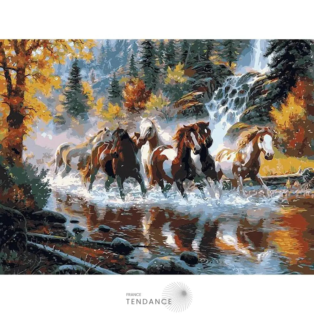 Kit De Peinture Par Numéros - Série Animaux |