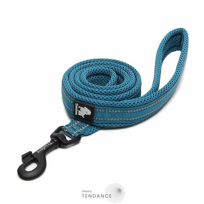 Laisse Lumineuse Réfléchissante | France-Tendance