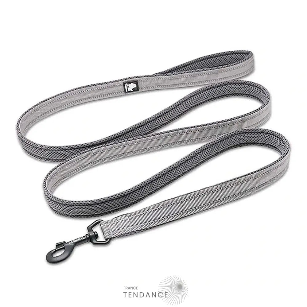 Laisse Lumineuse Réfléchissante | France-Tendance