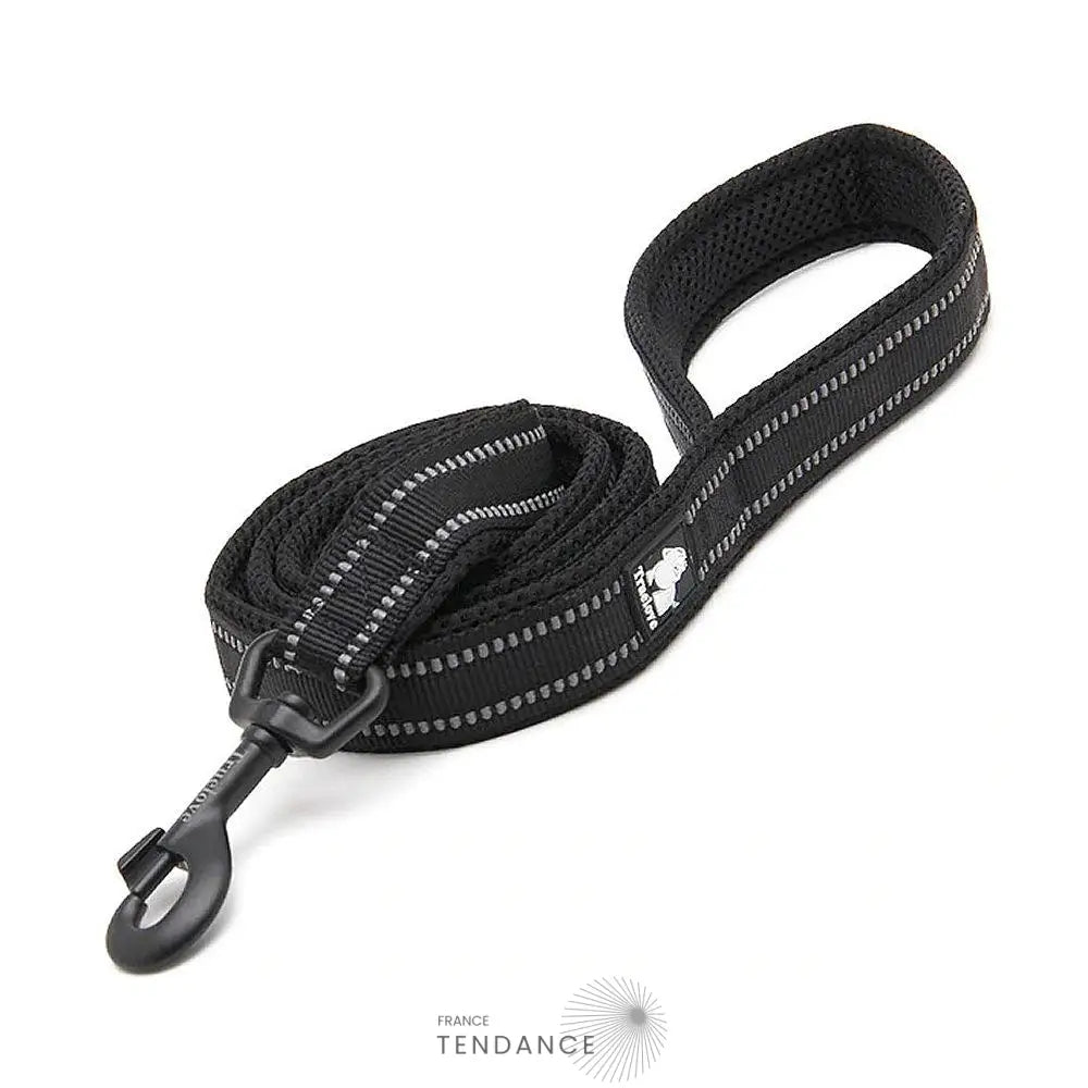 Laisse Lumineuse Réfléchissante | France-Tendance