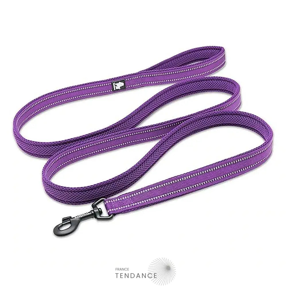 Laisse Lumineuse Réfléchissante | France-Tendance