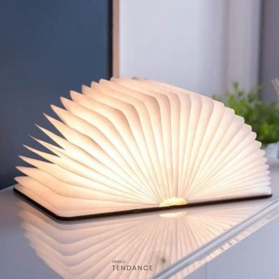 Lampe Livre Lumineux Gonku™ | France-Tendance