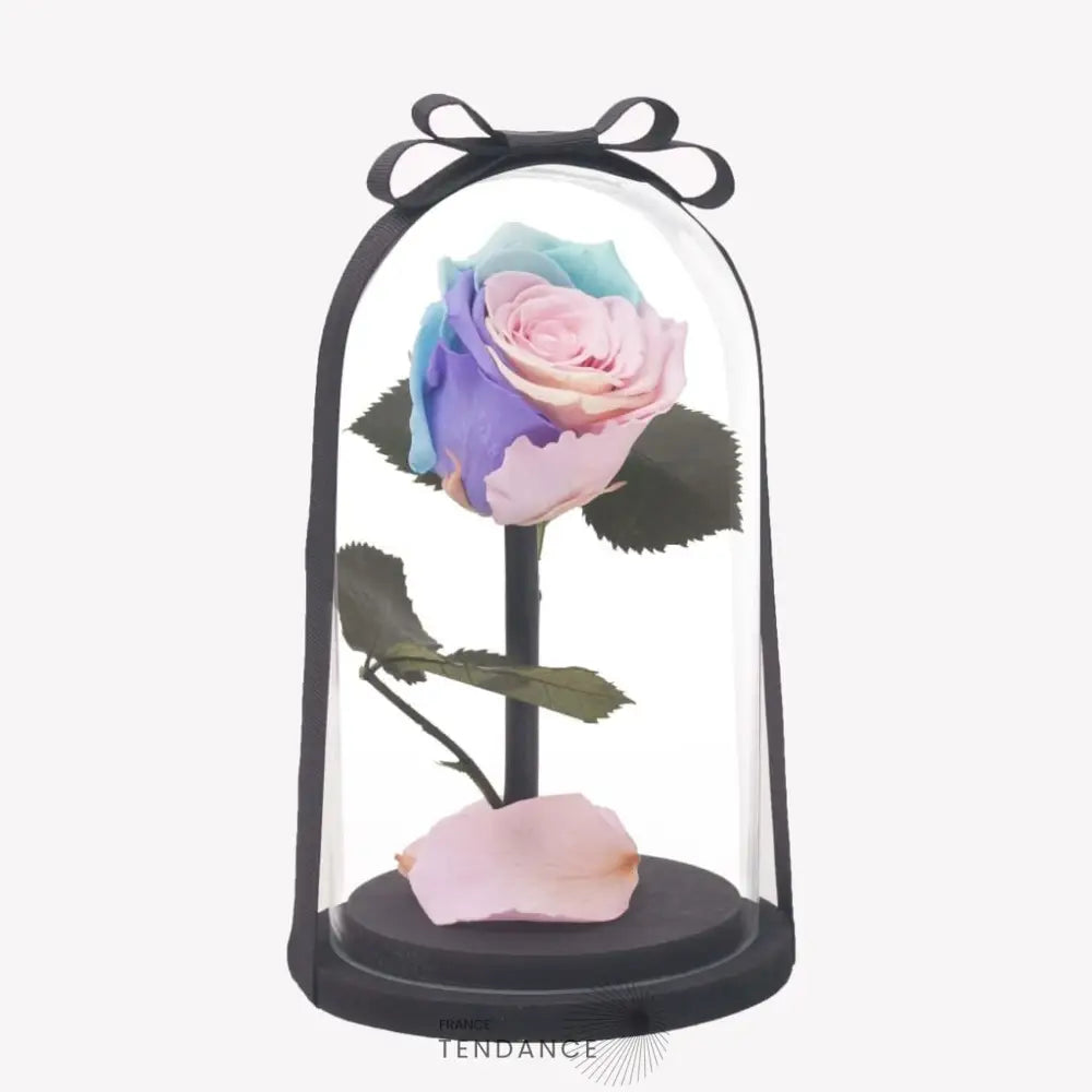 Rose éternelle Multicolore | France-Tendance