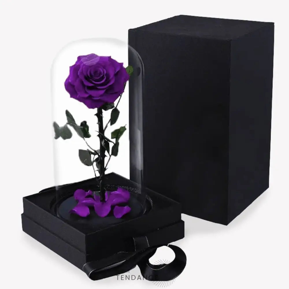 Rose éternelle Pourpre En Boîte | France-Tendance
