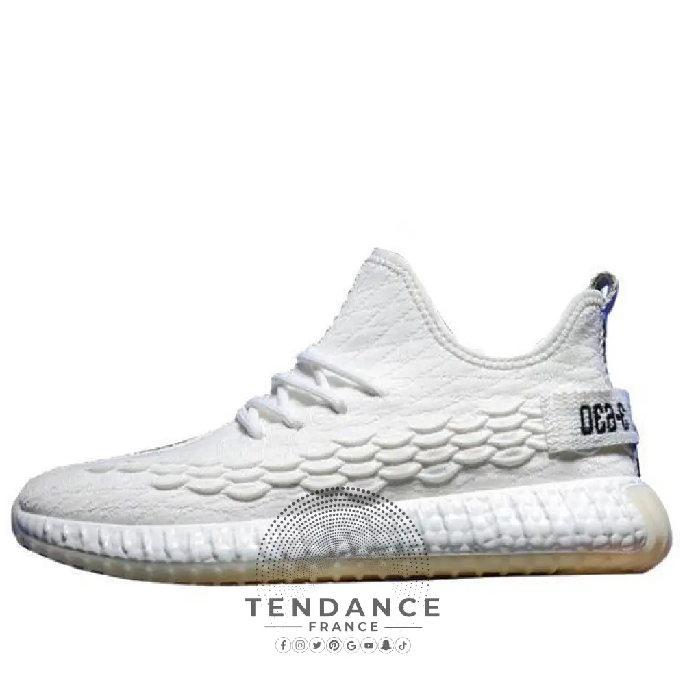 Sneakers Eagle | France-Tendance